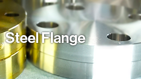 Steel flange Product Guide